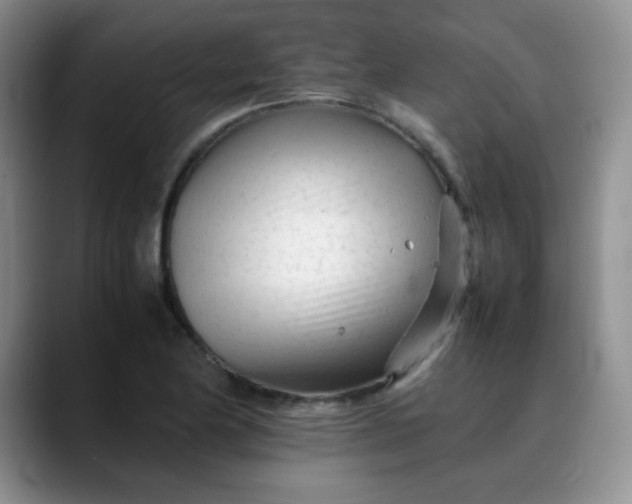 X0000088701174200706141425