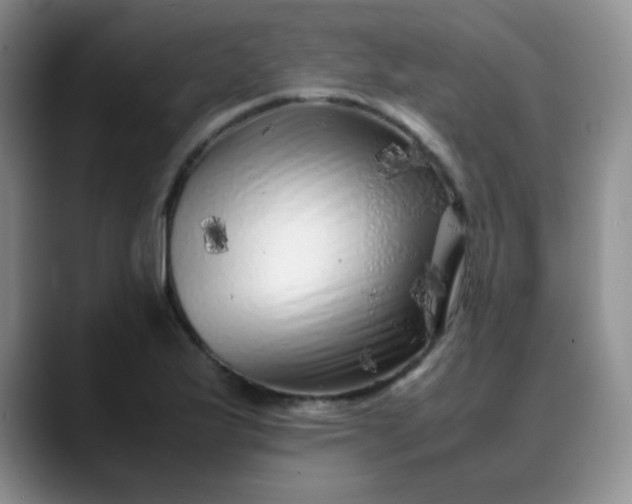 X0000088701175200706141425