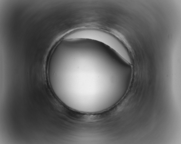 X0000088701176200706141425