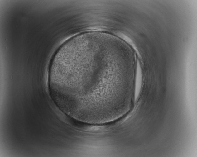 X0000088701179200706141425