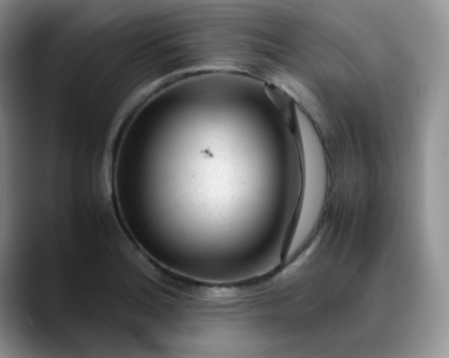 X0000088701180200706141425