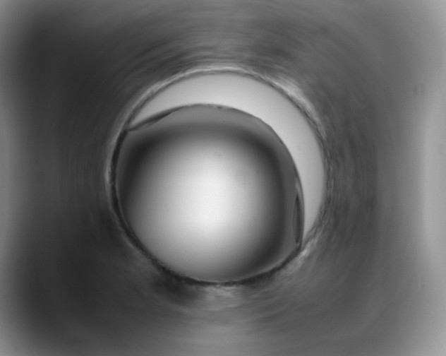 X0000088701181200706141425