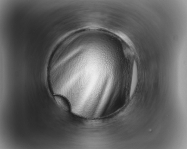 X0000088701183200706141425