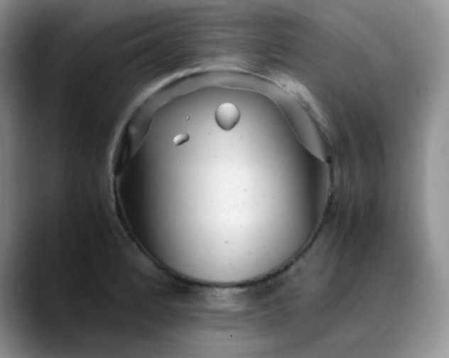X0000088701184200706141425