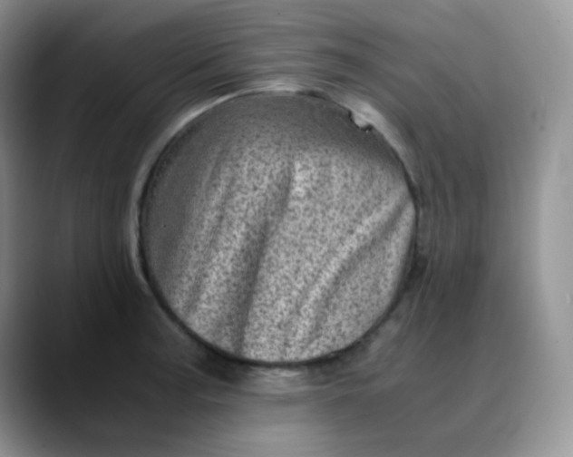 X0000088701187200706141425