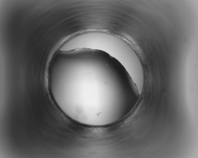 X0000088701188200706141425