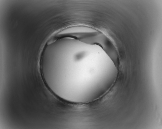 X0000088701189200706141424
