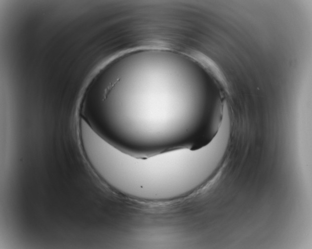 X0000088701192200706141424