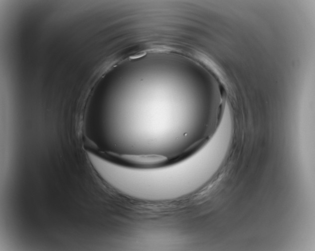 X0000088701193200706141424