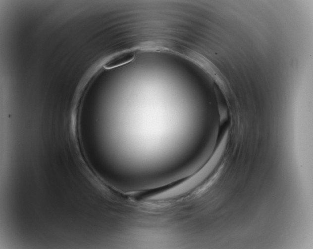 X0000088701196200706141424