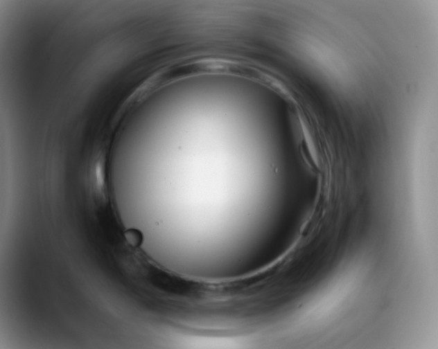X0000088701198200706141424