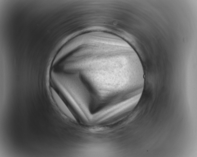 X0000088701199200706141424