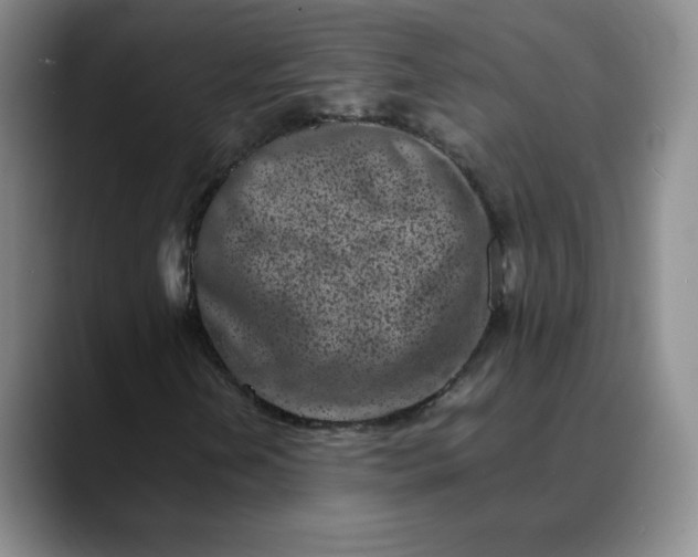 X0000088701202200706141424