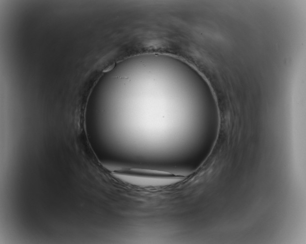 X0000088701205200706141424