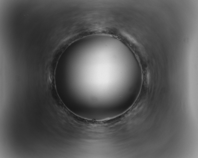 X0000088701206200706141424