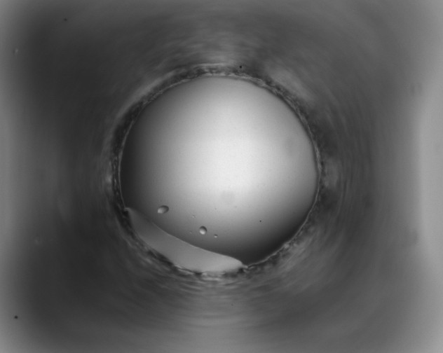 X0000088701208200706141424