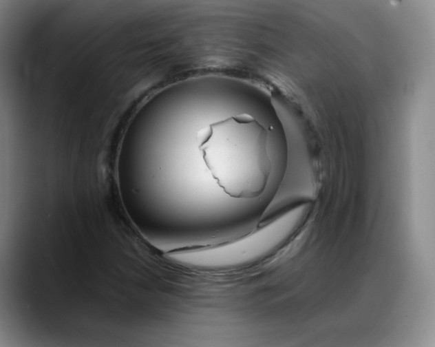 X0000088701210200706141424