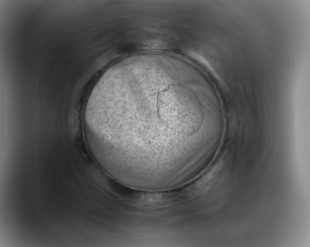 X0000088701211200706141424