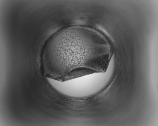 X0000088701213200706141424