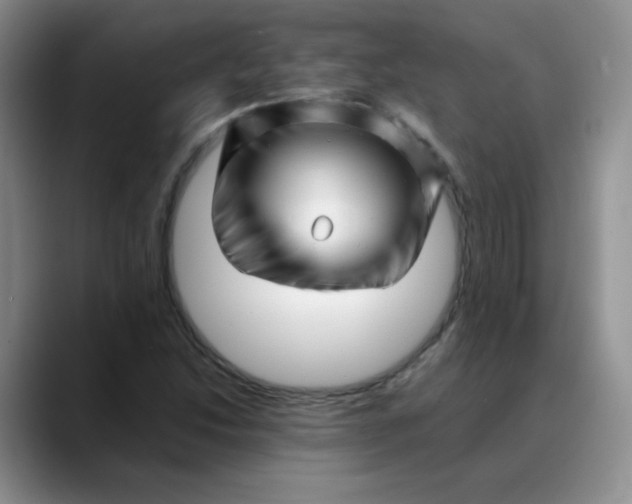 X0000088701214200706141424