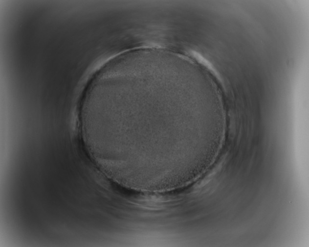 X0000088701215200706141424