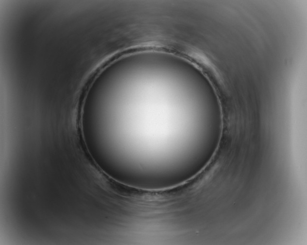X0000088701216200706141424