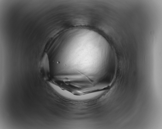 X0000088701217200706141424