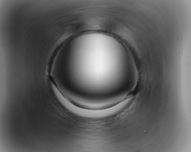 X0000088701218200706141424