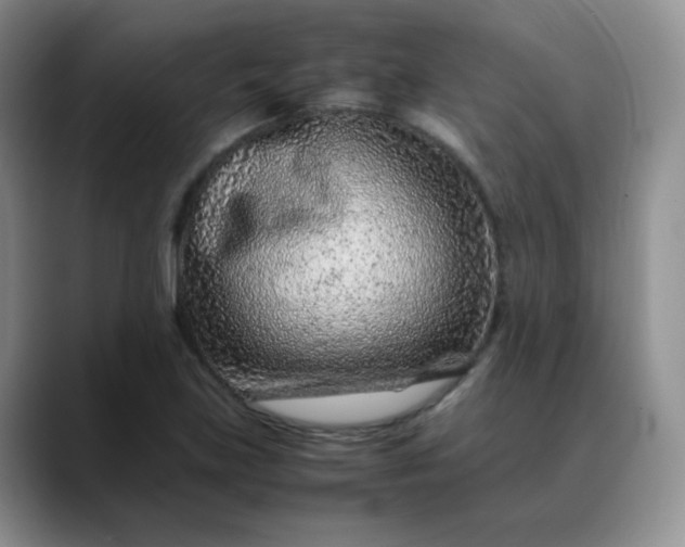 X0000088701219200706141424