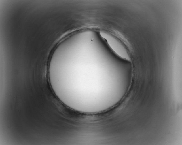 X0000088701220200706141424