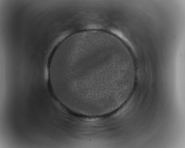 X0000088701221200706141424
