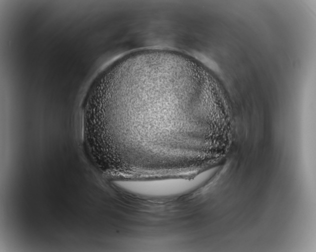 X0000088701223200706141424