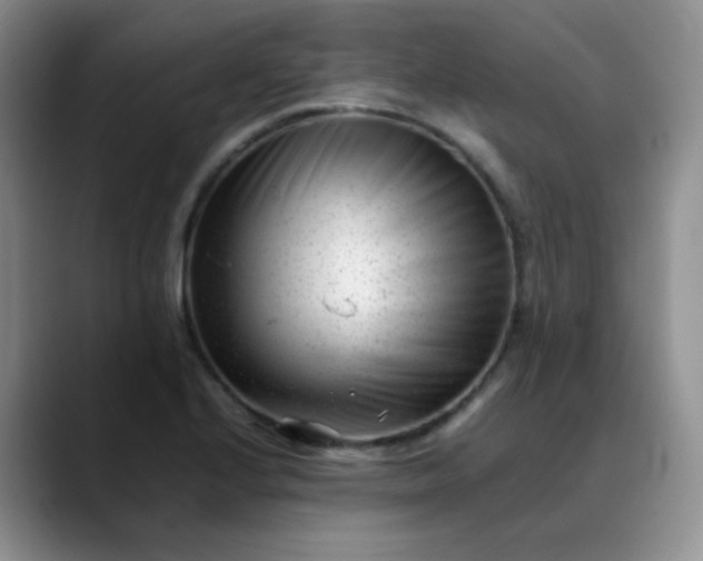X0000088701224200706141424