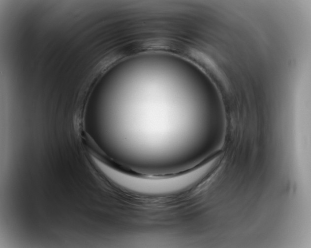 X0000088701225200706141424