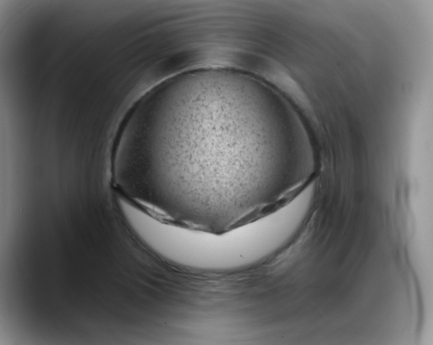 X0000088701226200706141424