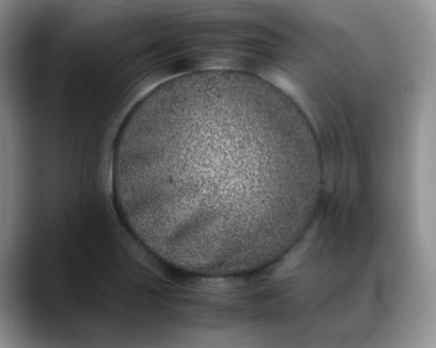 X0000088701227200706141424