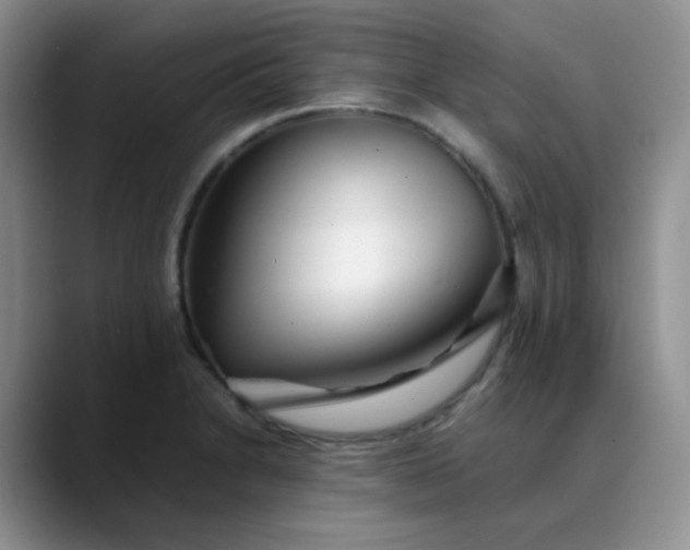 X0000088701230200706141424