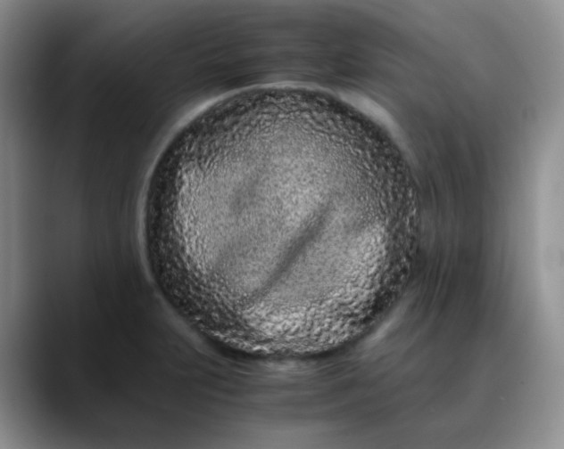 X0000088701231200706141424