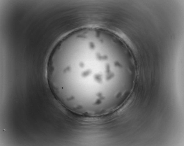 X0000088701232200706141424