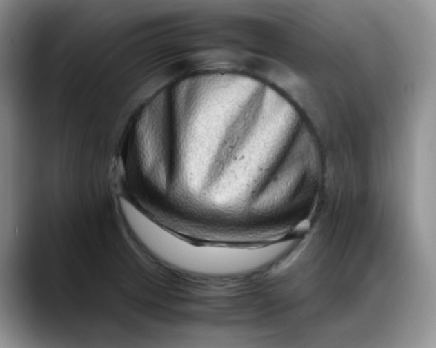 X0000088701233200706141424