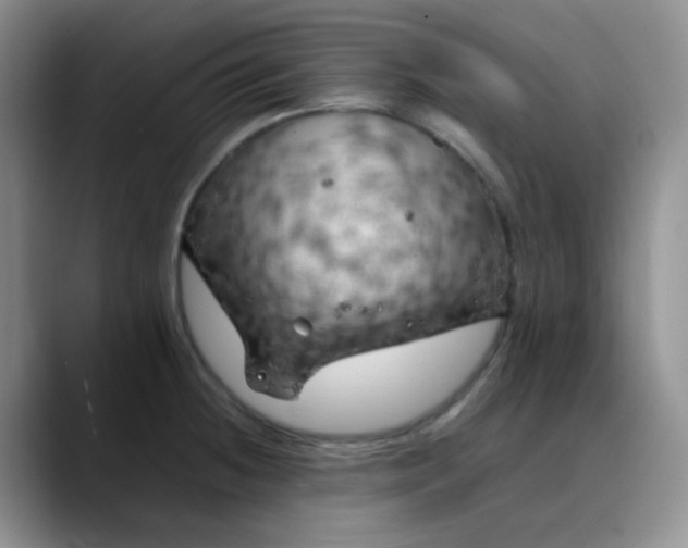 X0000088701236200706141424