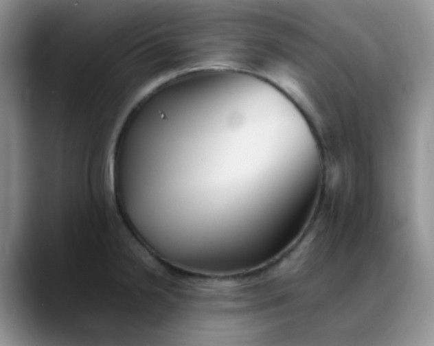 X0000088701238200706141424