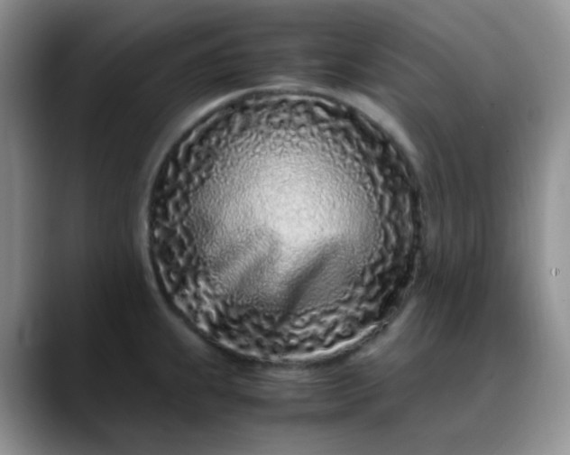 X0000088701239200706141424