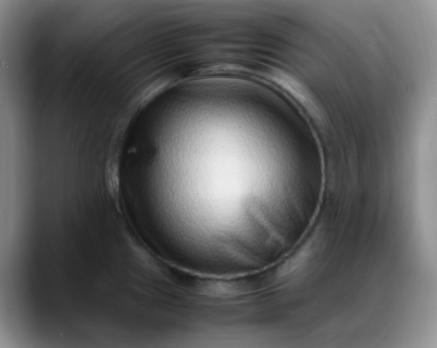 X0000088701241200706141424