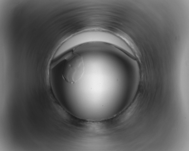 X0000088701242200706141424