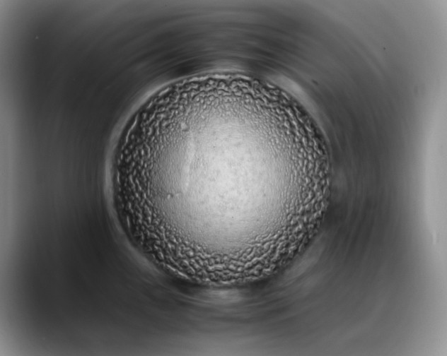 X0000088701243200706141424