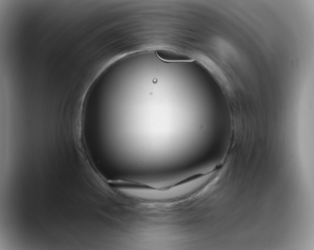 X0000088701244200706141424