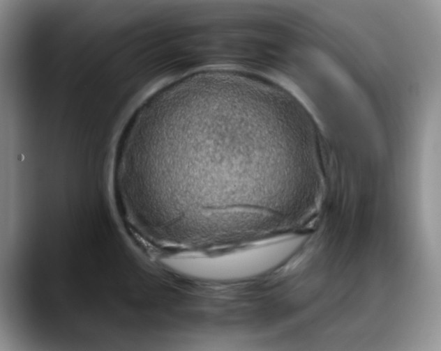 X0000088701245200706141424
