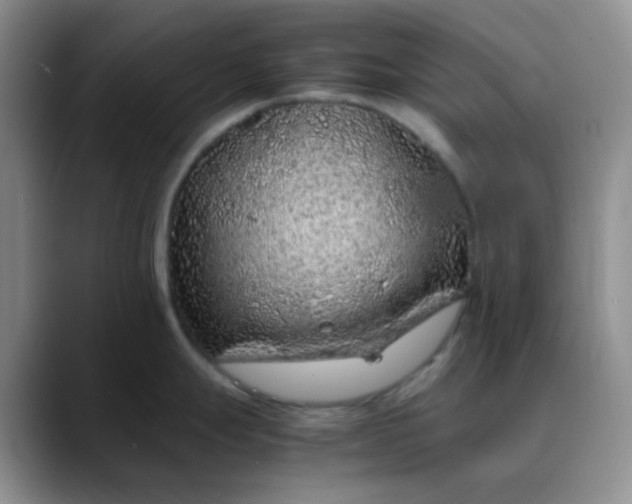 X0000088701247200706141424