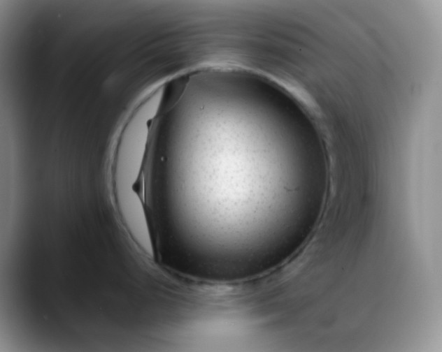 X0000088701248200706141424